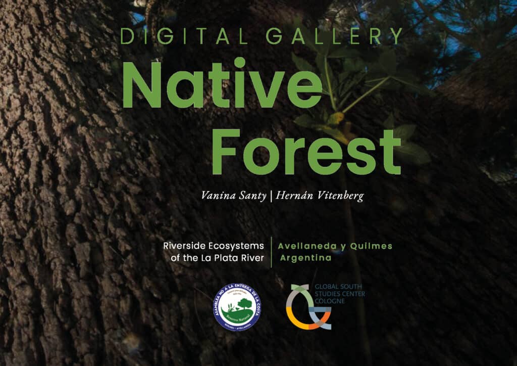 Cover for the Native Forest Digital Gallery