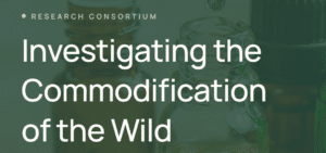 investigating the commodification of the Wild
