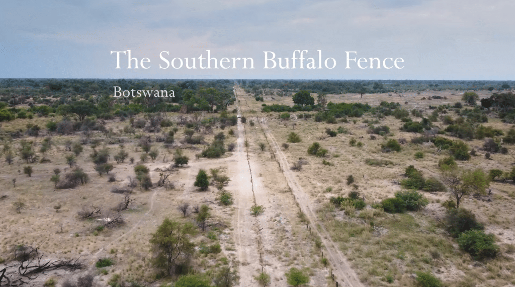 cover for the short film " southern buffalo fence" by wisse van engelen