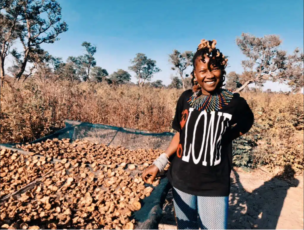 researcher next to harvested "devil's claw" plant