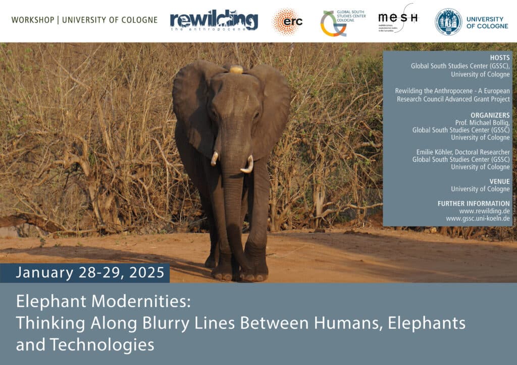 workshop elephant modernities rewilding january 25