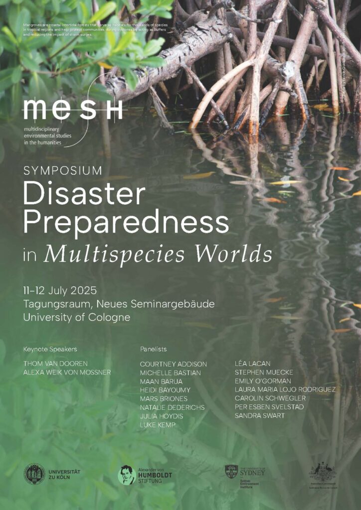 poster of the MESH symposium 2025